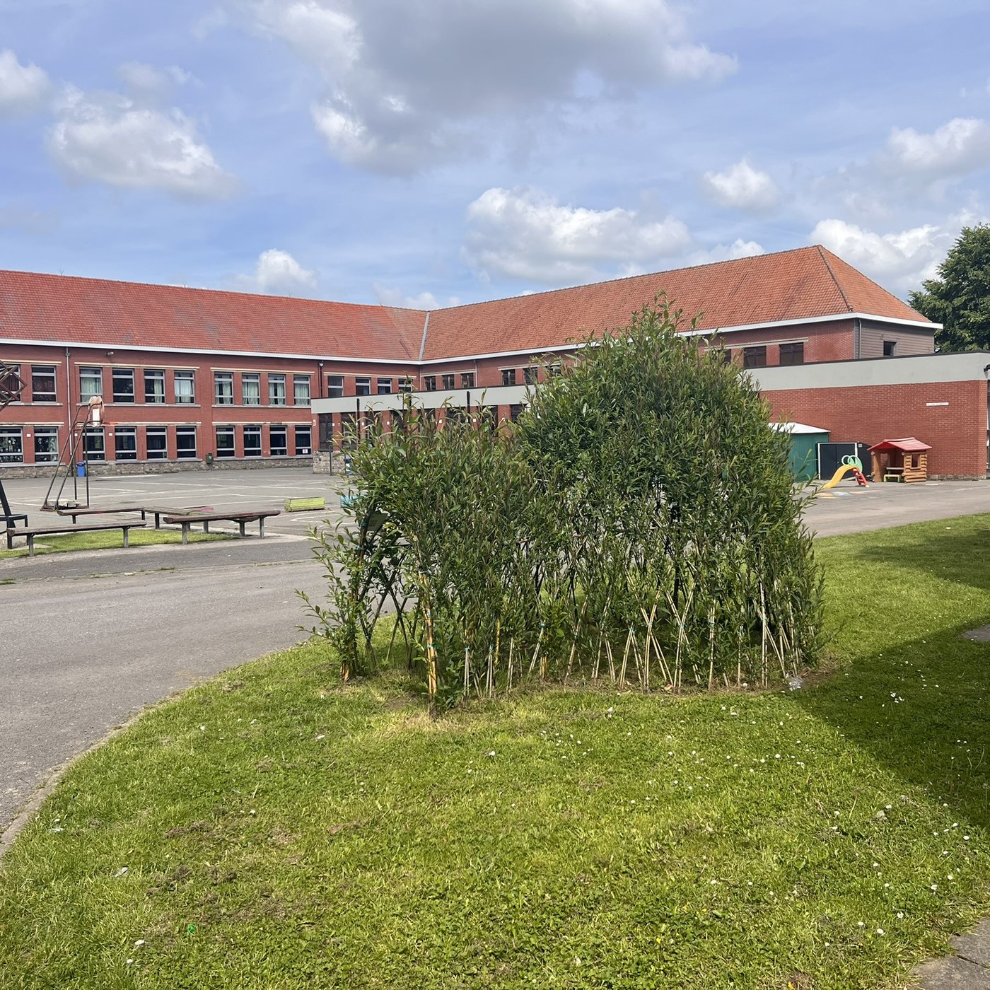 La cour du fondamental de Saint-Georges et sa cabane en saule