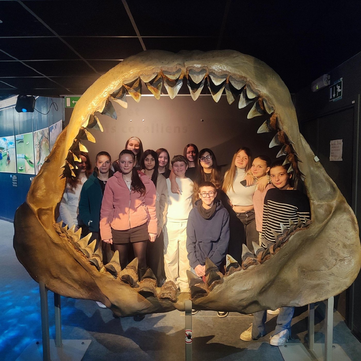 Le groupe d’élèves dans la mâchoire géante d’un mégalodon à l’Aquarium-Muséum de Liège