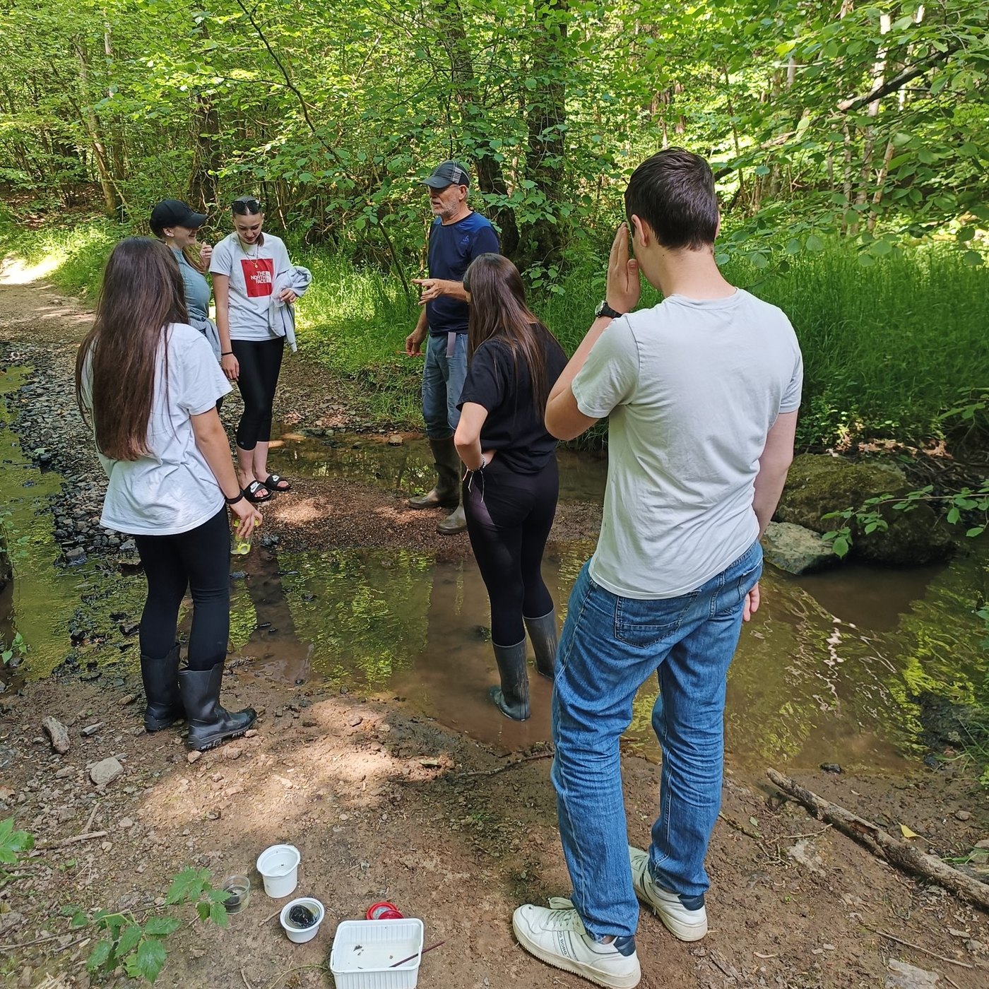 Élèves de 4e sciences appliquées faisant des prélèvements dans un ruisseau forestier