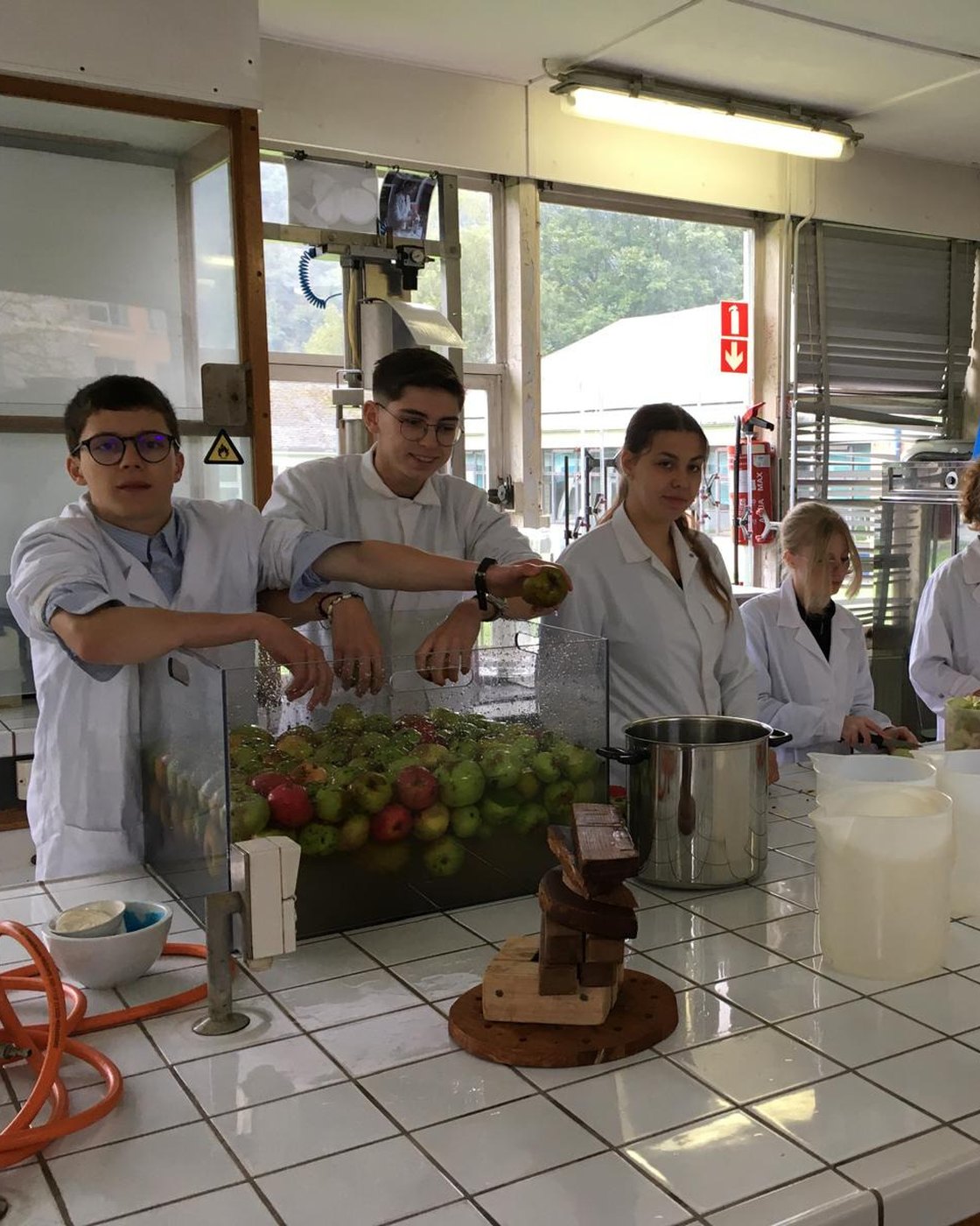 Élèves préparant du jus de pommes au laboratoire